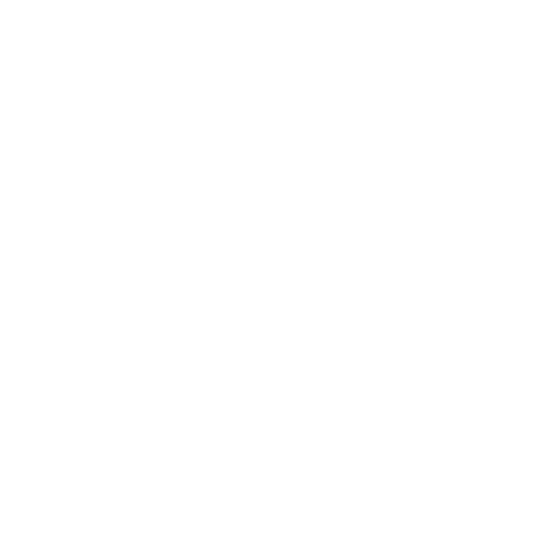 Customer Success